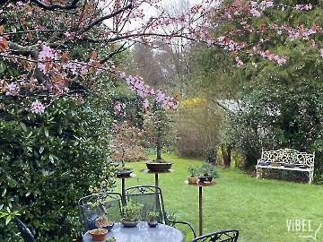 Bonsai Garden 5681 20260311